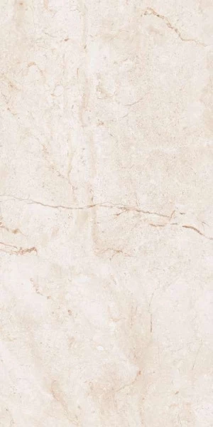 Керамогранит Leopard Stone Ivory Polished 60x120
Керамогранит Leopard Stone Ivory Polished 60x120