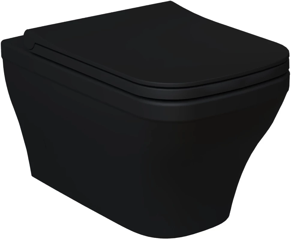 

Унитаз подвесной Ambassador Benefit 203T20201R-202T20201S безободковый, с сиденьем микролифт, черный матовый