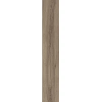 Керамогранит OC0000201 Eternity Natural 20x120 матовый