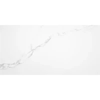 Керамогранит PUNE BLANCO MATE RECT 60x120 (59,5х120)