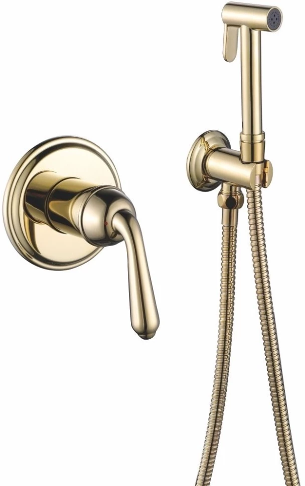 Гигиенический душ Rose R0205E со смесителем, золотой