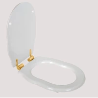 Сиденье для подвесного унитаза с микролифтом белый/золото Tiffany World Bristol TWBR62bi/oro