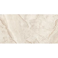 Керамогранит Брич Сильвер х9999275886 светло-серый полированный 60x120