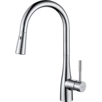 Смеситель для кухни D&K Rhein.Schiller DA1462501С