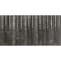 Плитка Etna Nero 15x30