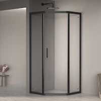 Душевой уголок 100x100 см RGW PA-86B Passage 38088600-14 прозрачное