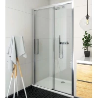 Душевая дверь Roltechnik Exclusive ECD2P/1300 565-130000P-00-02 прозрачное