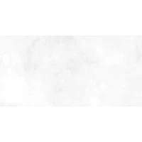 Плитка TWU09RCD000  Richard 24,9x50