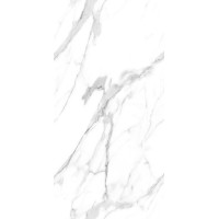 Керамогранит CA-054 Carving Endless 60x120