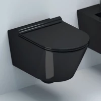 Унитаз подвесной Mira MR-B3649B безободковый, с сиденьем микролифт, черный глянец