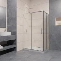 Душевой уголок 89,5x69,5 см RGW PA-146 Passage 020814679-11 прозрачное