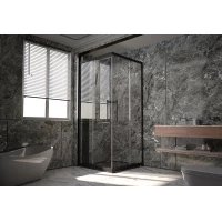 Душевой уголок 98x88 см Veconi Premium Trento PTC20-B-10090-01-C4 прозрачное