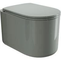 Унитаз подвесной AXA Delano WCWH9001003 безободковый, с сиденьем микролифт, серо-зеленый глянец