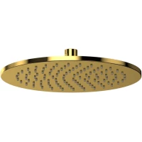 Верхний душ Whitecross Y Y1301GL 250 мм, золотой
