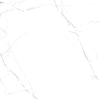 Керамогранит Сosmos E-5023 матовый 60x60