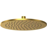 Верхний душ Whitecross Y Y1301GLB 250 мм, золотой матовый