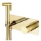 Гигиенический душ Boheme Stick 127-GG со смесителем, золотой - 1