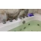Акриловая гидромассажная ванна 170x80 см Frank F160 20156060 - 4