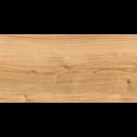 Керамогранит WS4O112 Woodhouse коричневый рельеф 29,7x59,8