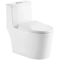 Унитаз-компакт GID Tr2203 безободковый, с сиденьем микролифт, белый