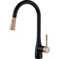 Смеситель для кухни D&K Rhein.Schiller DA1462517D