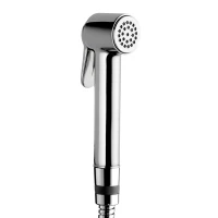 Гигиеническая лейка Bossini Paloma Brass B00470.030