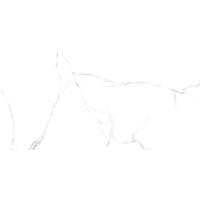 Керамогранит Carrara 60x120