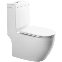 Унитаз-компакт GID Tr2205 безободковый, с сиденьем микролифт, белый