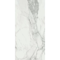 Керамогранит Invictus Natural 80x160