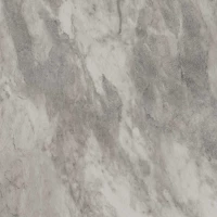 Керамогранит Kerama Marazzi Альбино серый обрезной 60x60 DL602720R 