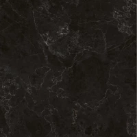 Керамогранит Пантеон 5 черный 40x40