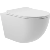 Унитаз подвесной Aqueduto Ovo OVO0120 безободковый, с сиденьем микролифт, белый матовый