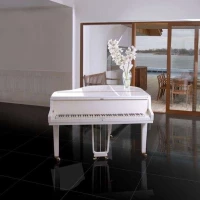 Коллекция плитки HDC Porcelanicos Blanco Negro