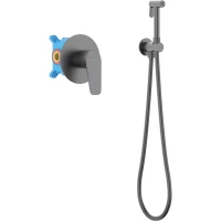 Гигиенический душ Aquatek Бетта AQ1119BGM со смесителем, оружейная сталь матовый