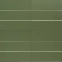 Плитка Jungle Olive 10x30