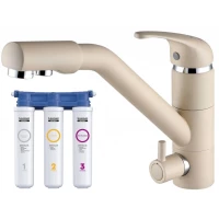 Смеситель для кухни с фильтром Paulmark Hessen He213017-428 + H851P00