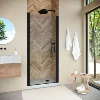 Душевая дверь Vegas Glass EP NOVO 85 02М crystalvision 85 см, профиль черный матовый, стекло прозрачное