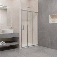 Душевая дверь 100 см RGW PA-13 Passage 06081310-11 прозрачное