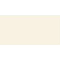 Керамогранит матовый Spector GFU60120SPR04R 60x120