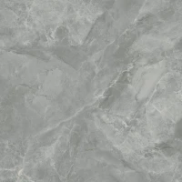 Керамогранит Регнум Гриджио серый CR6060G0401R 59,5x59,5 матовый