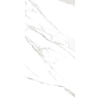 STATUARIO GRIGIO LUCIDO 10MM (2461317) 60x120 Глазурованный керамогранит