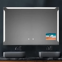 Зеркало Xpertials Alice SM 84354135-25284 120x80 см, с LED-подсветкой, сенсорным выключателем, диммером, нержавеющая сталь