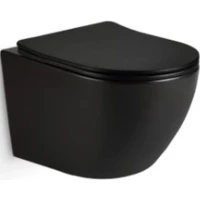 Унитаз подвесной CeramaLux TR2196MB безободковый, торнадо, с сиденьем микролифт, черный матовый