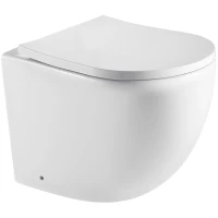 Приставной безободковый унитаз с сиденьем микролифт WeltWasser Merzbach 002GL-WT