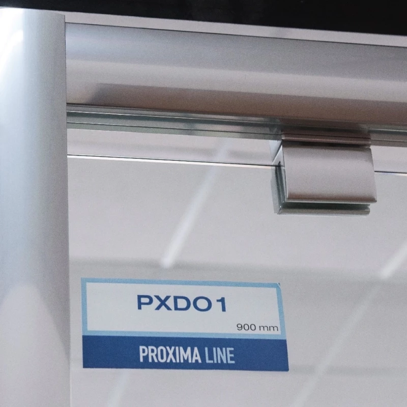 Душевая дверь Roltechnik Proxima PXDO1N/1000 525-1000000-00-02 прозрачное