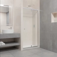 Душевая дверь 97-110 см RGW PA-02 New Passage 41080200-51 шиншилла