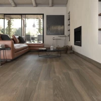 Коллекция плитки Pamesa RAINIER