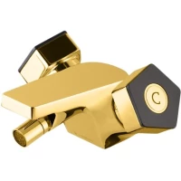 Смеситель для биде Newform Park Limited Edition 69735.62.093 с донным клапаном, золотой