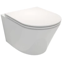 Унитаз подвесной Jacob Delafon Rodin+ EDY102-00 + E23280-00 безободковый, с сиденьем микролифт, белый