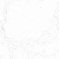 Керамогранит NT Ceramic Marmo NTT995180M Impero Carving 60х60